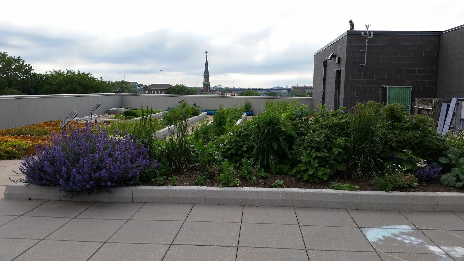 Edible Skyline A Rooftop Revolution in Milwaukee Rooftop Open Hours