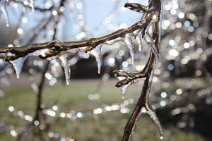 The Ice Storm