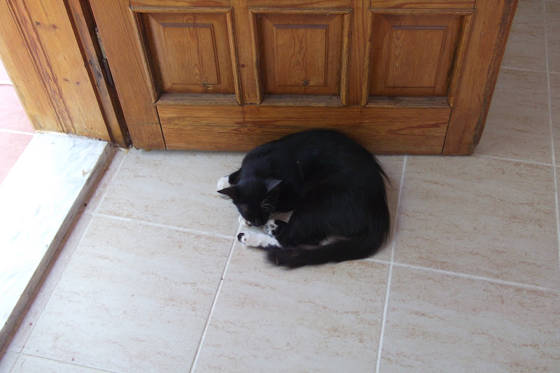 KAVAKTAN TABUT Öyle mi Yatsam, Böyle mi Yatsam, Şöyle mi Yatsam?