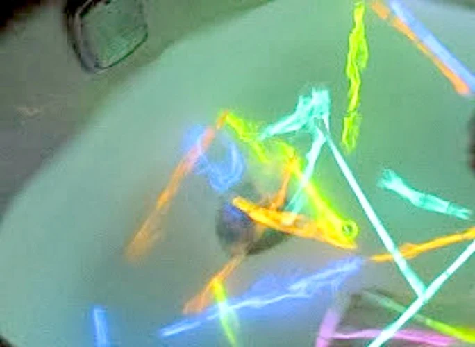 Glow sticks in the bath - Night of the Moonjellies