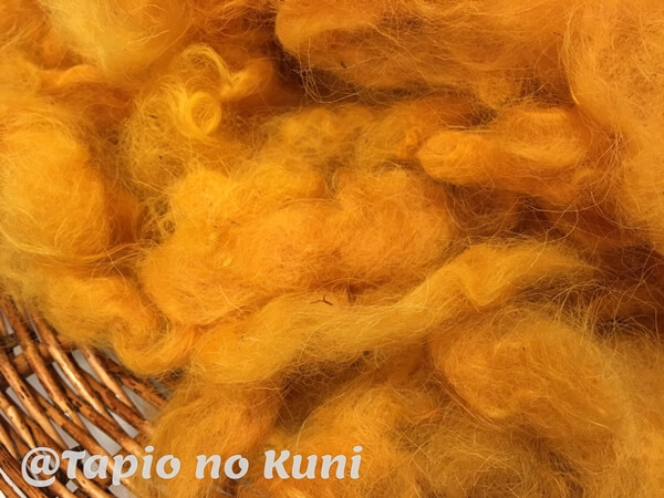 草木染め タマネギの皮で羊毛を染める 手仕事 タピオの国
