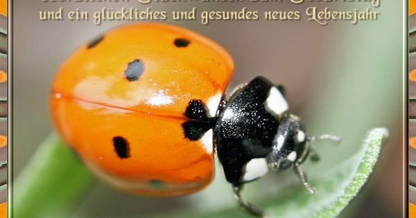 Herzlichen Gluckwunsch Zum Geburtstag Serbisch Vardo Bagrationi