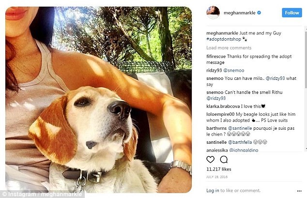 Mad About Meghan Live Blog The Day Before The Wedding