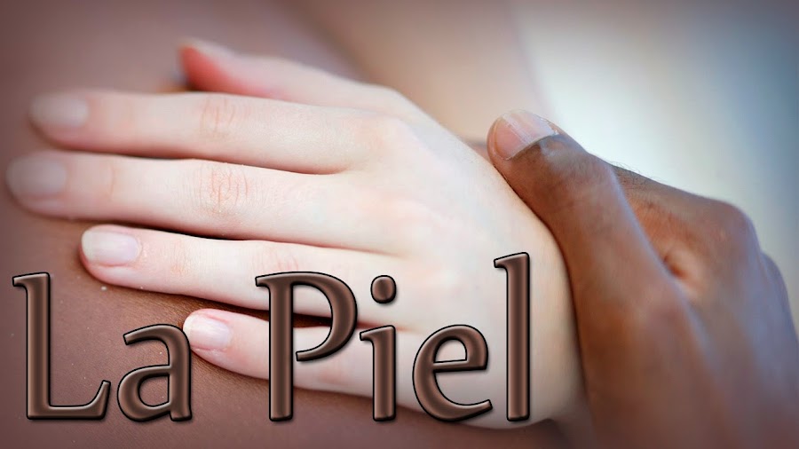 la piel de bertol brecht