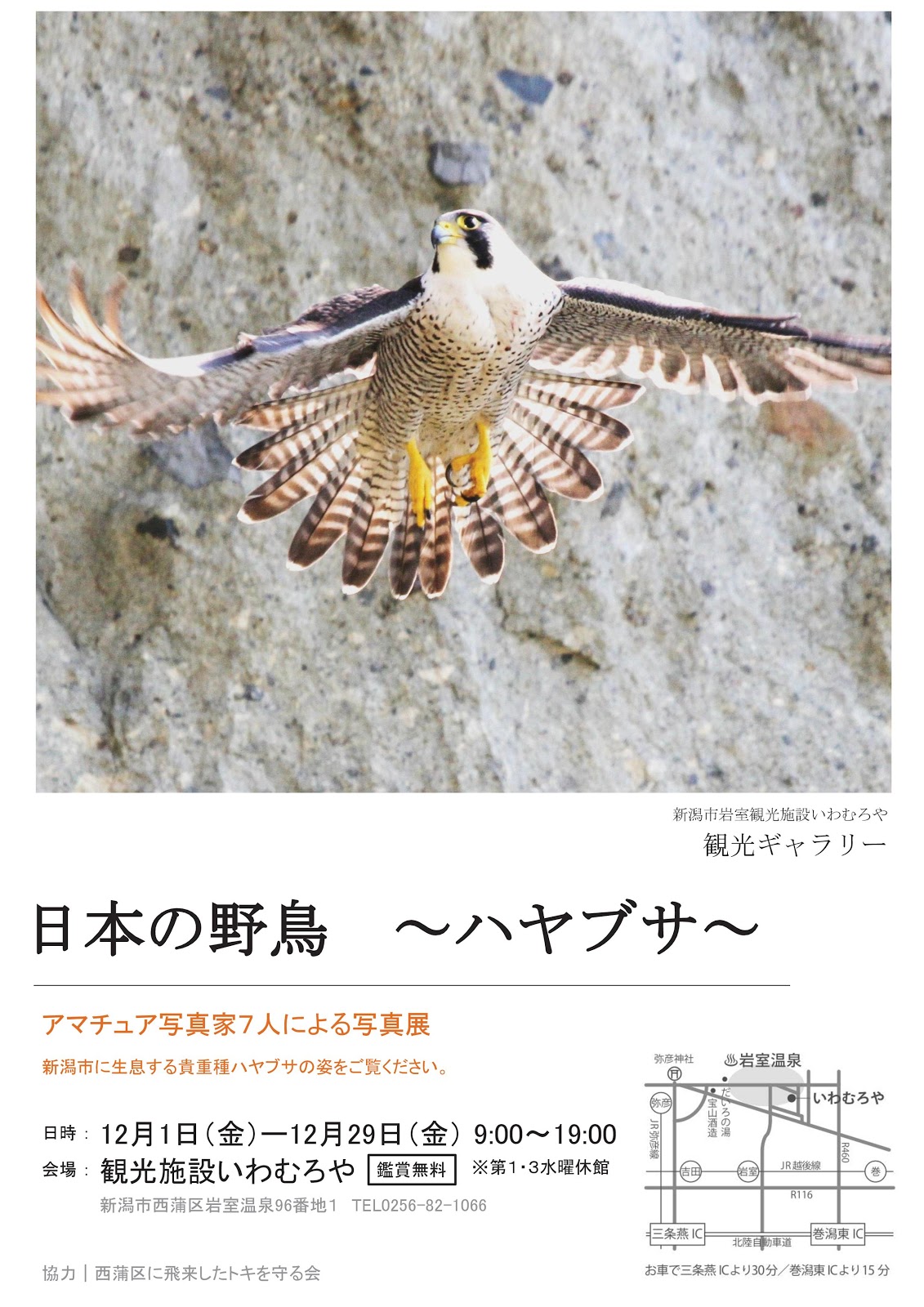 いわむろや コノ街ニ光ヲ観ル 新潟 岩室温泉から発信する観光ブログ