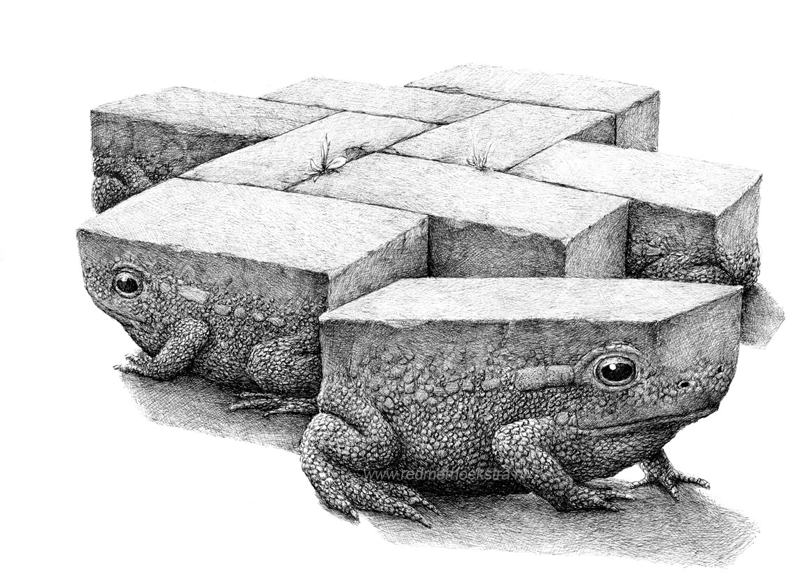 09-Frog-Stone-Redmer-Hoekstra-Drawing-Fantastic-and-Surreal-World-of-Hoekstra-www-designstack-co