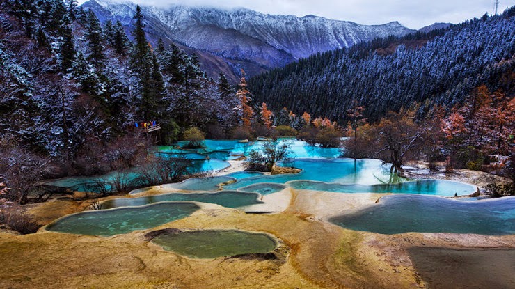 Huanglong%E2%80%93Unique%2BYellow%2BDrag