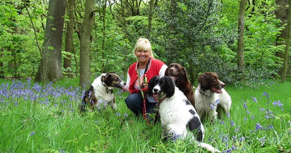 Best Friends Dog Hotel Contact