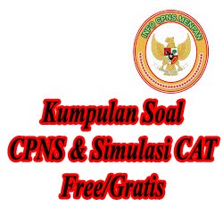 Contoh Soal CAT CPNS 2018