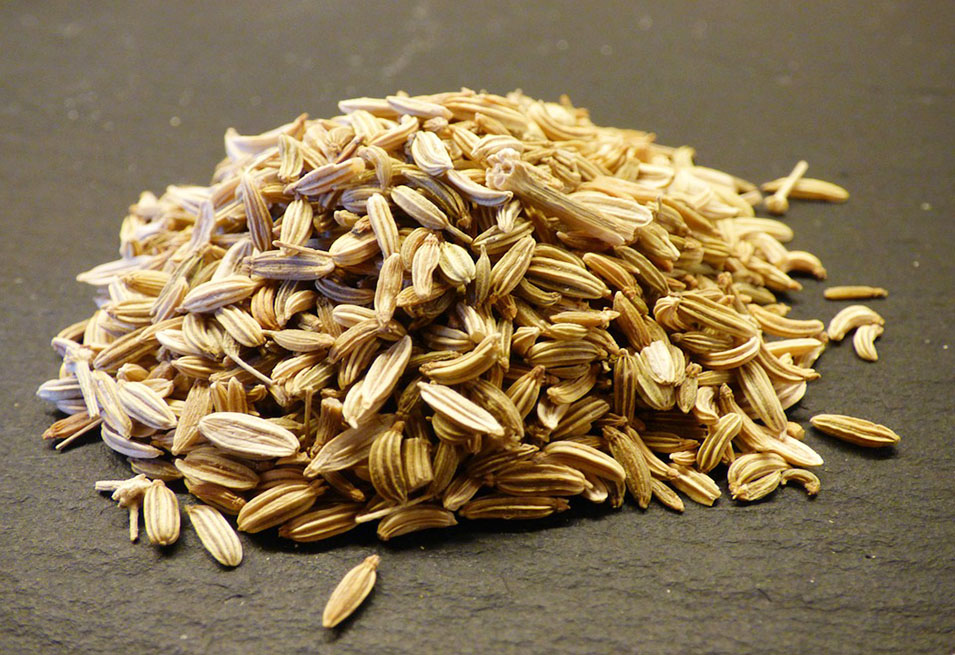 Health Benefits and Remedies of Fennel Seed Health Benefits and Remedies of Fennel Seed