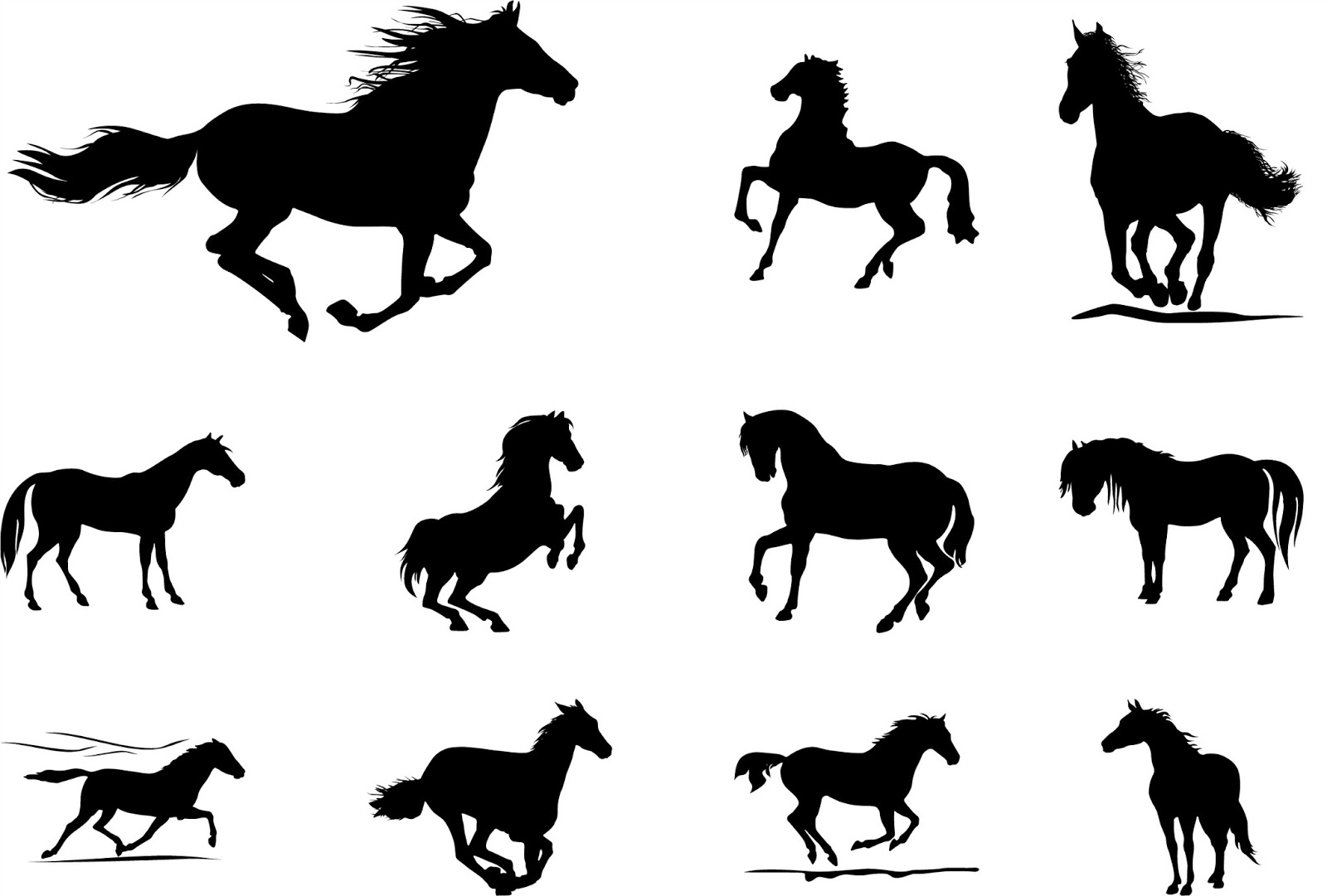 Ilustracion De Carreras De Caballos De Dos Jinetes