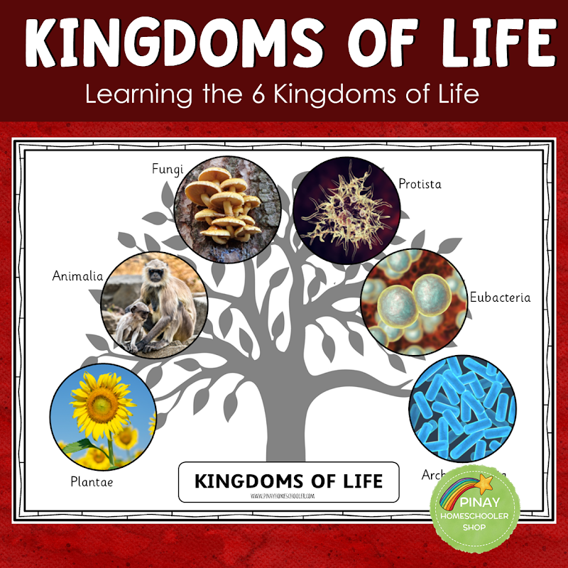 introducing-the-6-kingdoms-of-life-the-pinay-homeschooler