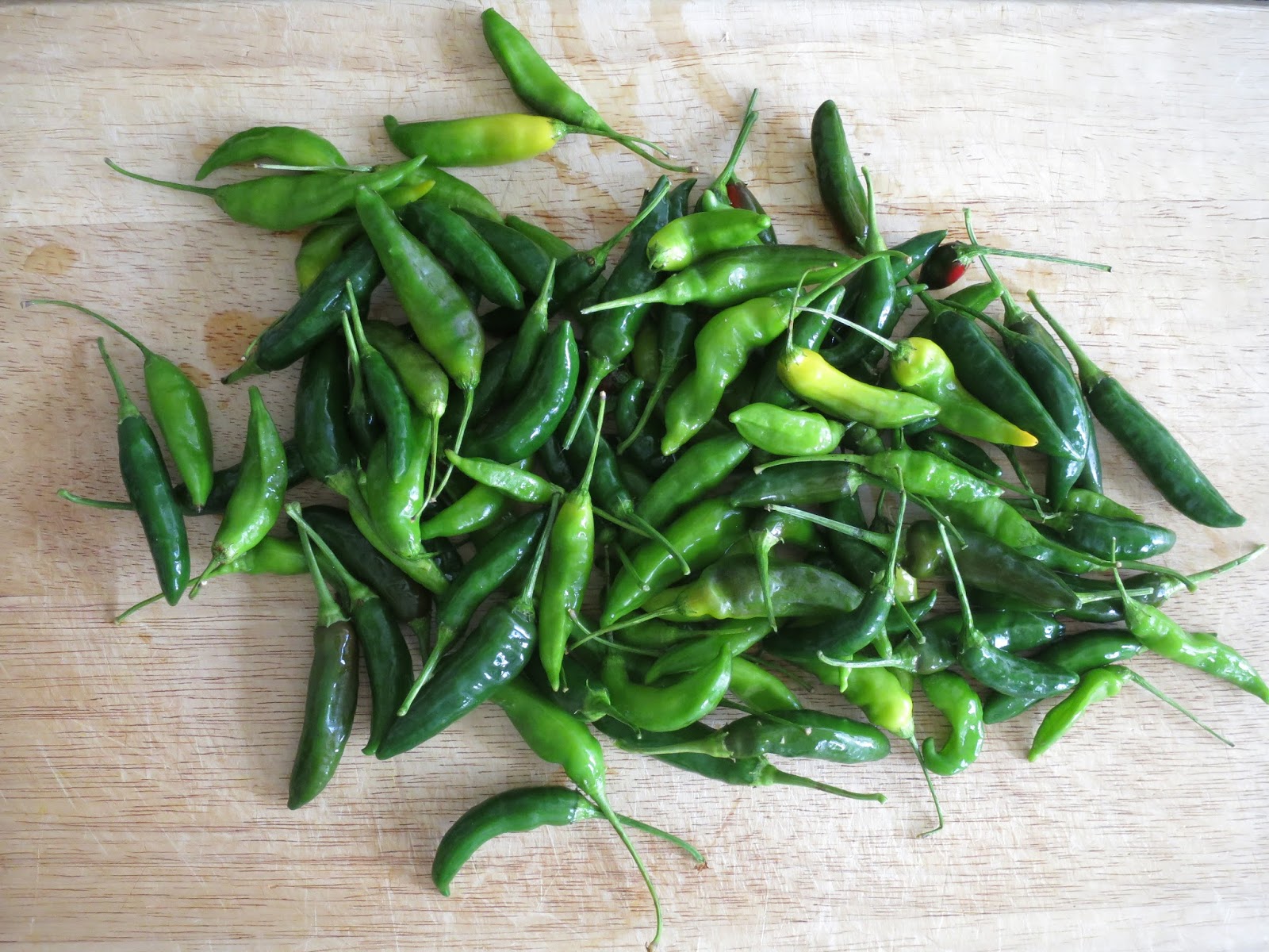 Chiles in Stockholm Burning fingers and fantastic smell