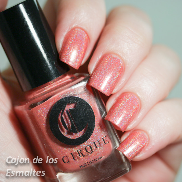 Cirque - Luminous Owl