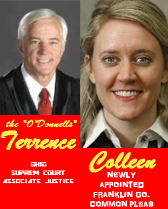 donnell colleen political factor selection party ohio court terrence integrity damages judiciary perception judges county public came word link down