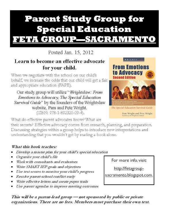 FETA Group Flyer