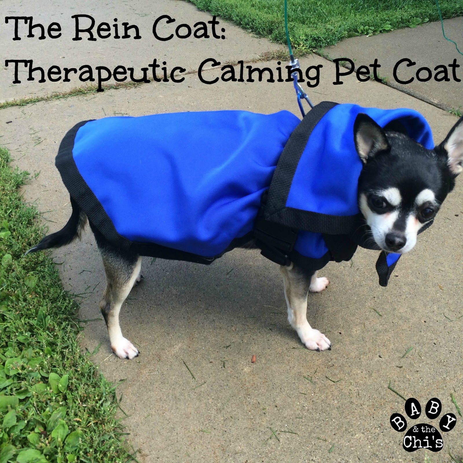gothickornchic The Rein Coat The Therapeutic Calming Coat For Pets 