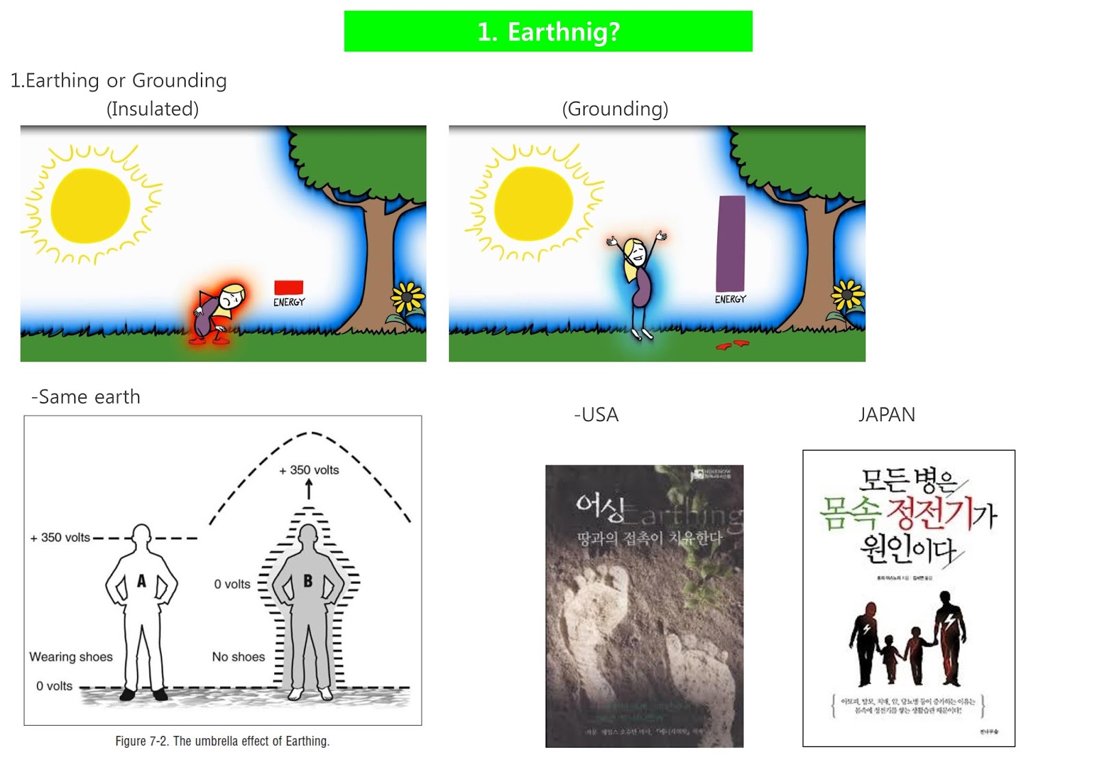Earthing Grounding The Human Body