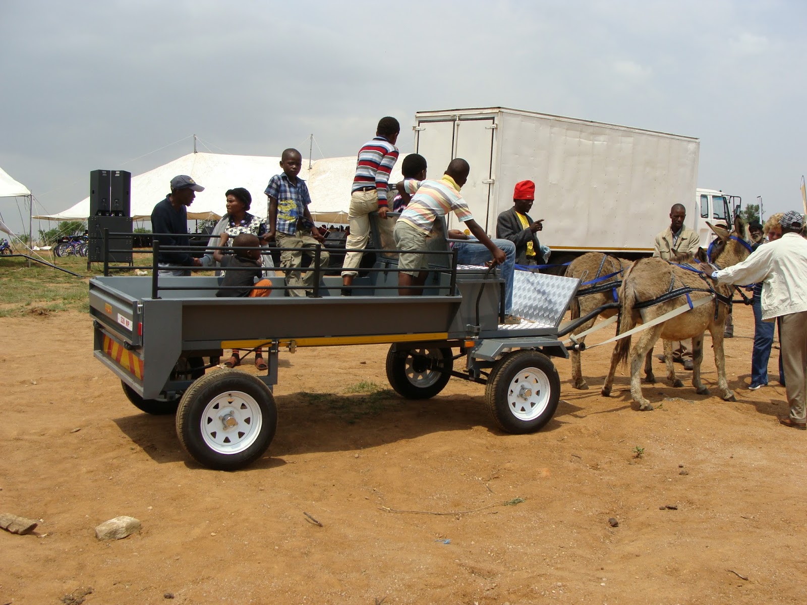 Donkey Drawn Cart Manufacturer Transport for people in South Africa
