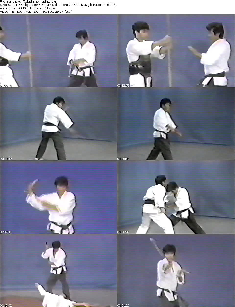 DVDs Artes MarcialesClases Magistrales. Dynamic Nunchaku by Tadashi