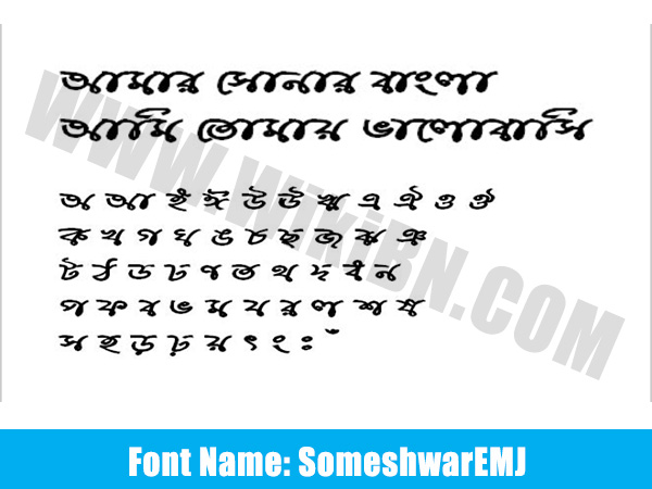 bengali stylish font for bangla word free download bengali stylish font for bangla word free download