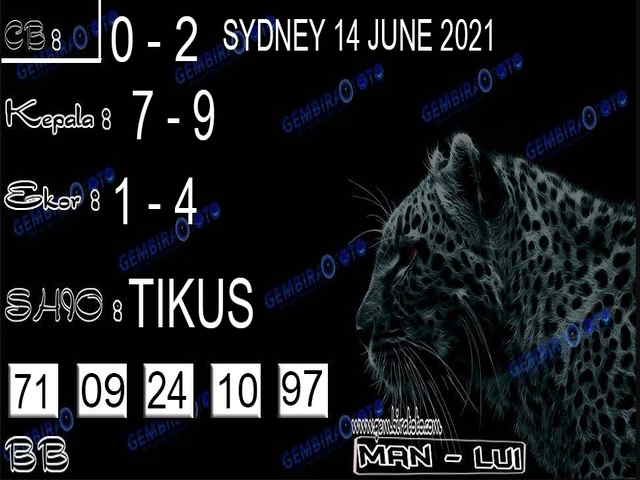gambar togel sydney