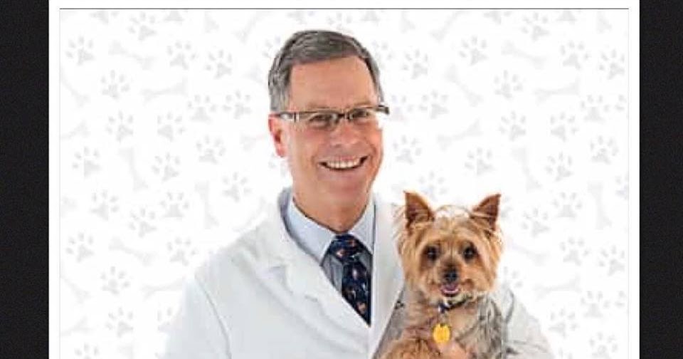 How Do I Find A Holistic Veterinarian And What Can A Holistic Vet Do