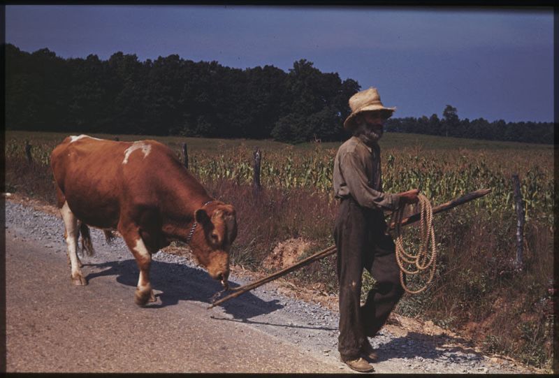 Kodachrome Slides Everyday Life USA 1940s