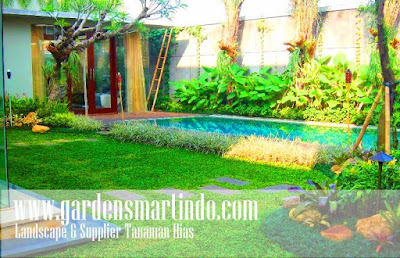 Jasa Tukang Taman Surabaya Gardensmartindo
