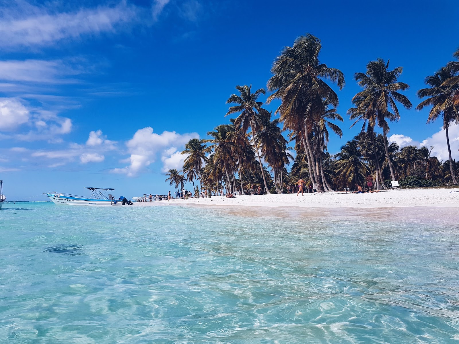 PETITS PARADIS Isla Saona, République Dominicaine PETITS PARADIS Isla Saona, République Dominicaine
