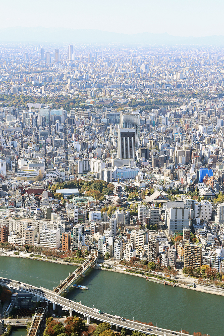 Go Tokyo! 24 Hours in Tokyo, Japan by Posh, Broke, & Bored