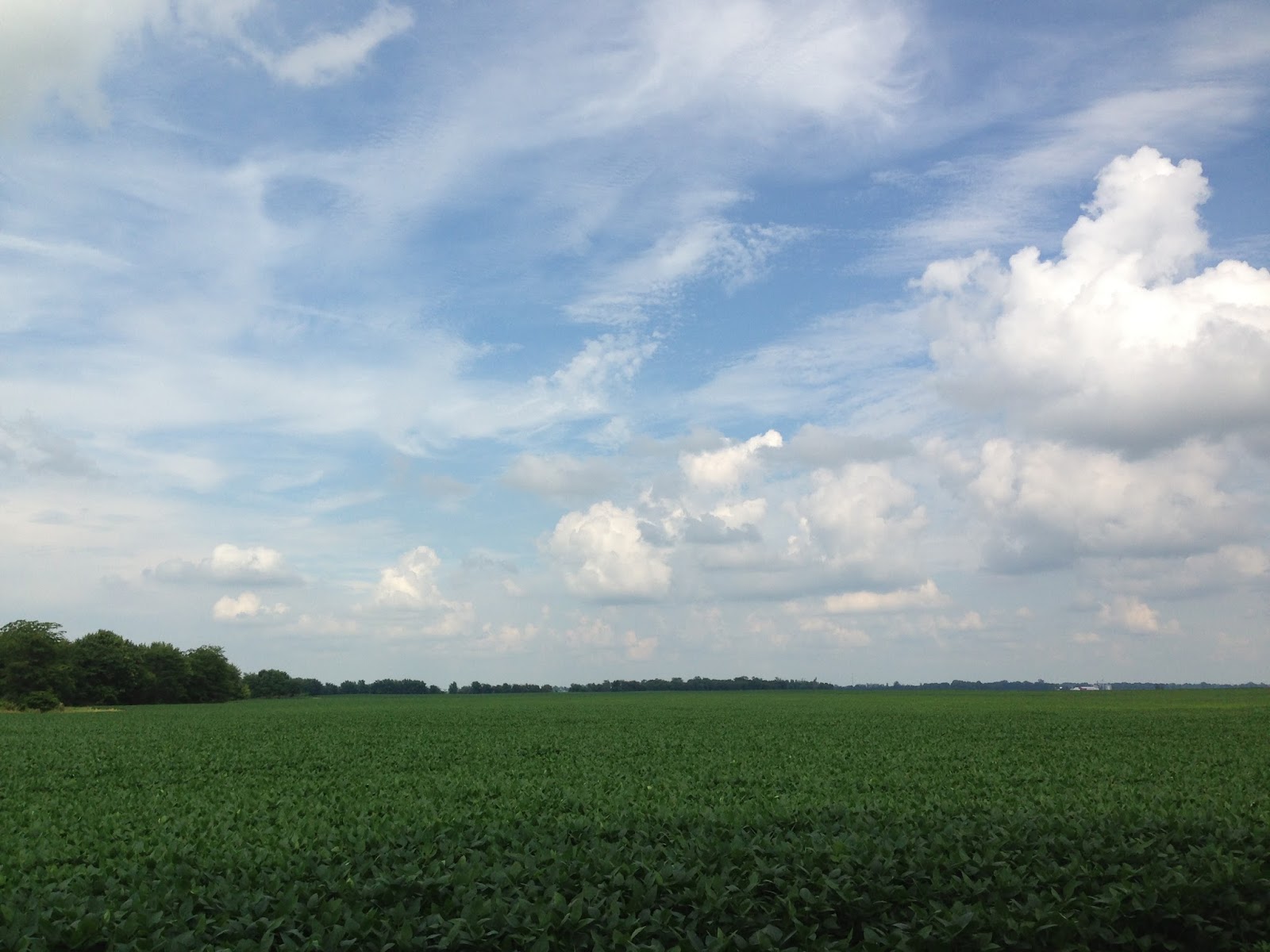 Lightworker Chronicles