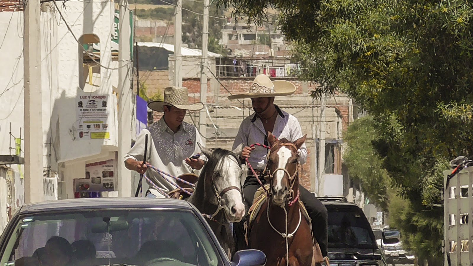 Charros