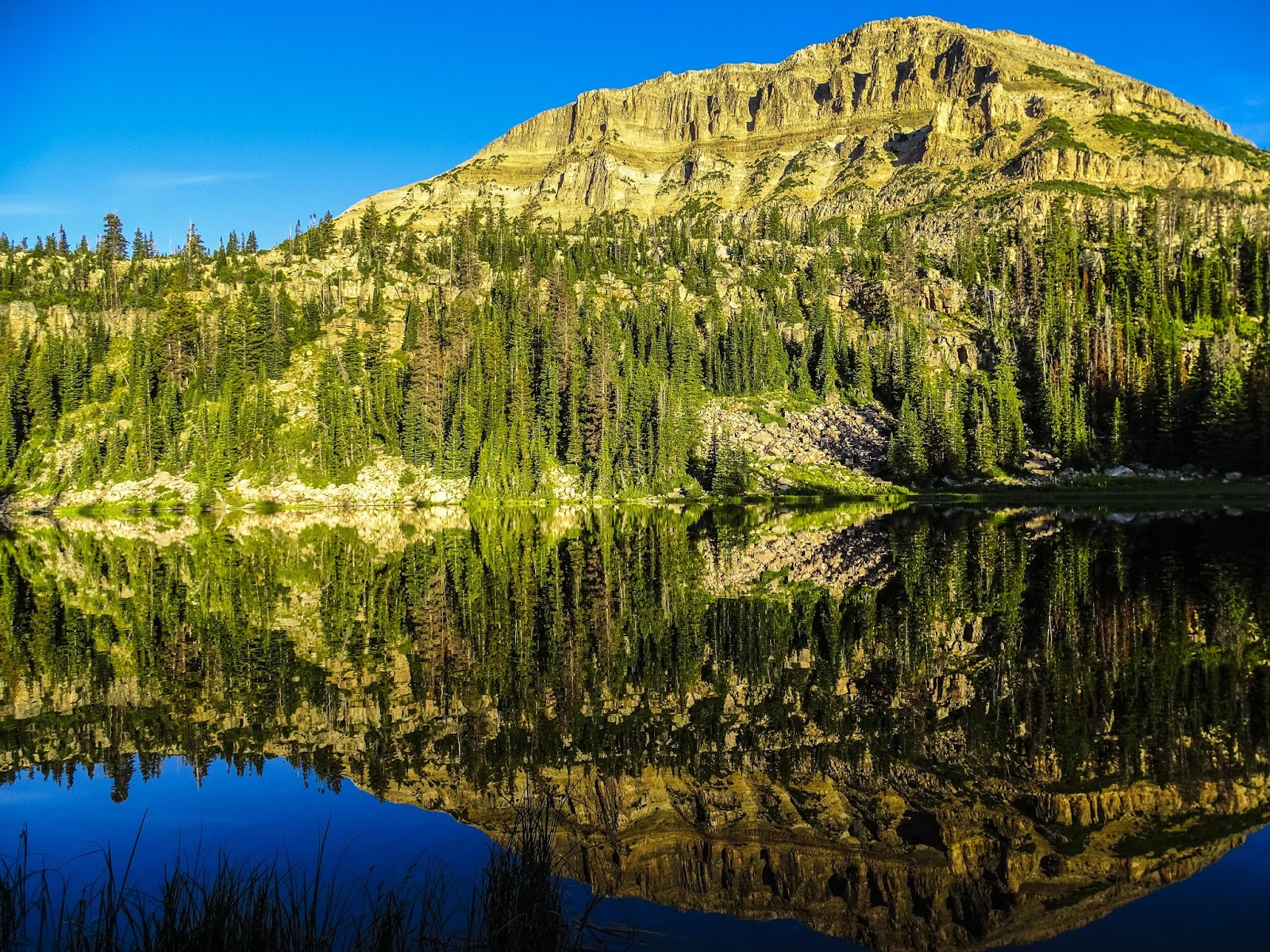 Walking Arizona Reflections on Bald Mountain