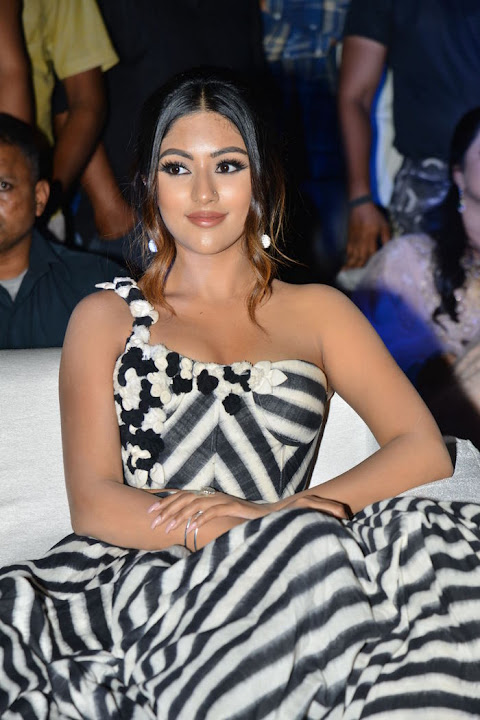 Anu Emmanuel at Naa Peru Surya Naa Illu India Pre Release Event