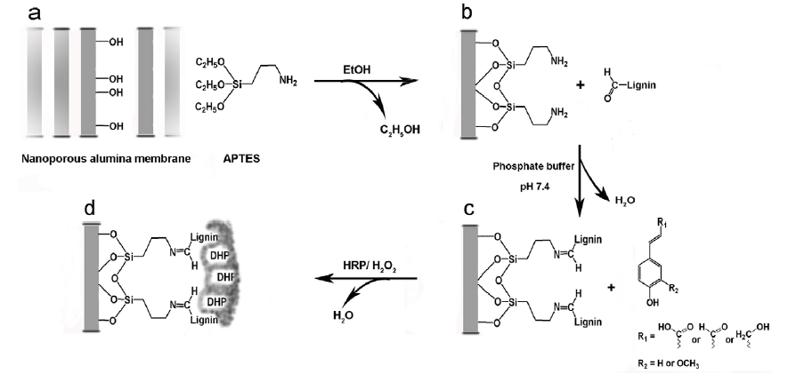 SOL-GEL, NANOSCIENCE AND PHOTONICS: TEMPLATE-MEDIATED SYNTHESIS AND BIO ...