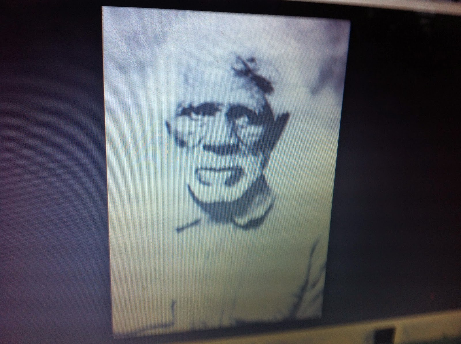 THE BLACK SOCIAL HISTORY BLACK SOCIAL HISTORY AFRICAN AMERICAN