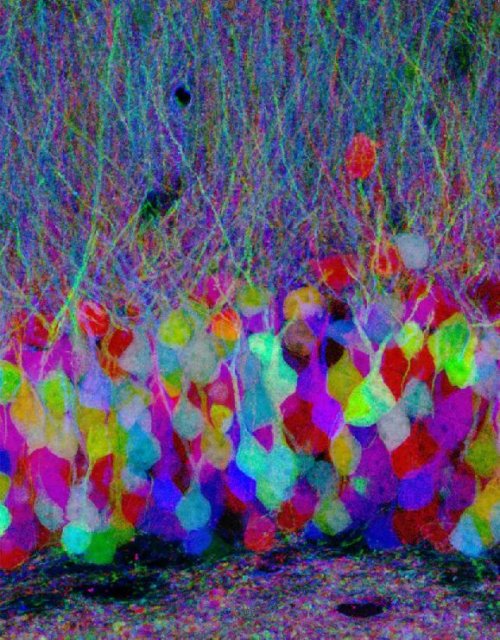 Urban Sketchers Germany August 2018