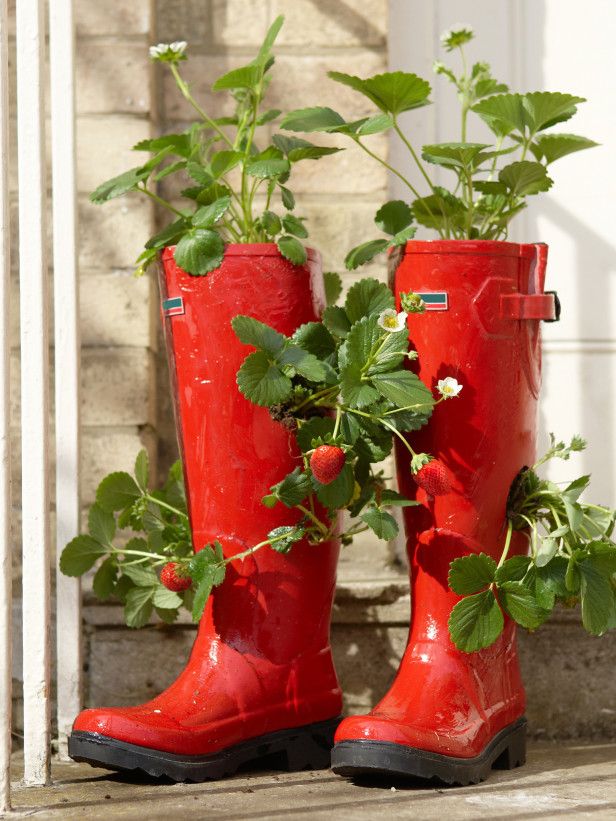 Creative Ideas: Cool Garden Items!