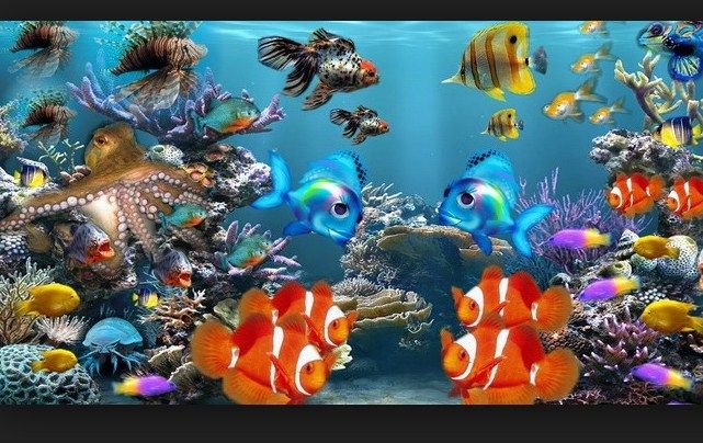 Manfaat Memelihara Ikan Hias Aquarium Dirumah Infoikan Com