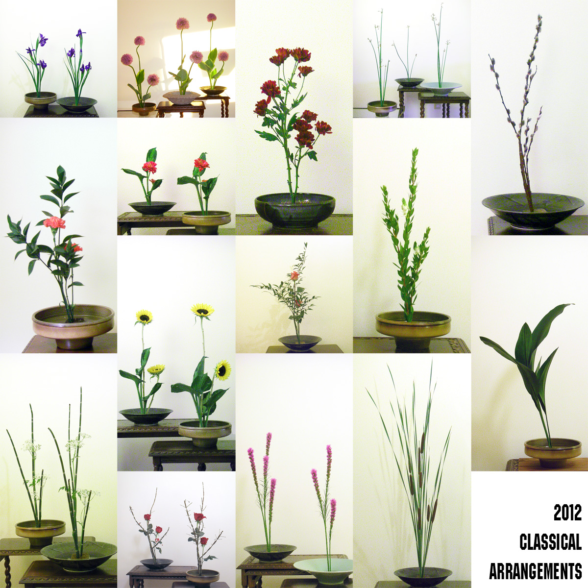 CLASSICAL IKEBANA 2012 SAS does CLASSICAL IKEBANA 2012