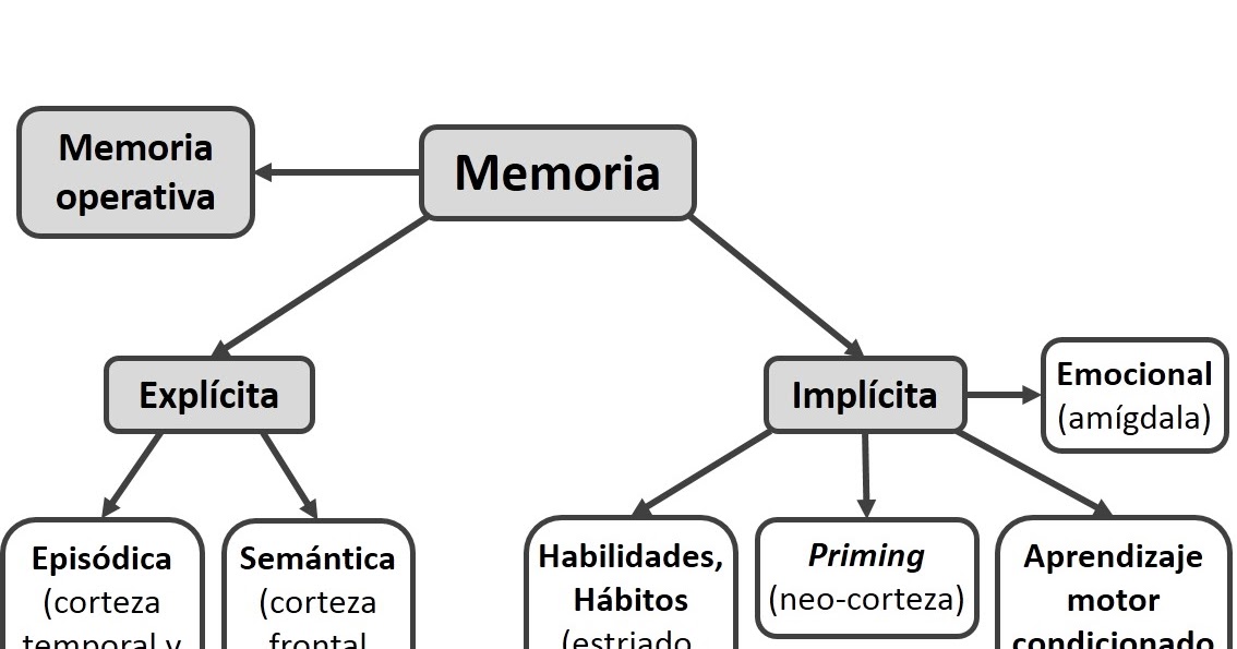Psicología de la Memoria Fundamentos biológicos de la memoria Psicología de la Memoria Fundamentos biológicos de la memoria