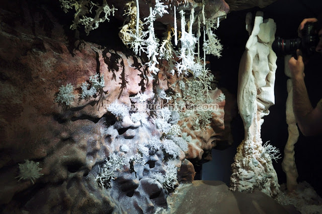 Centro Interpretación Cueva del Castañar