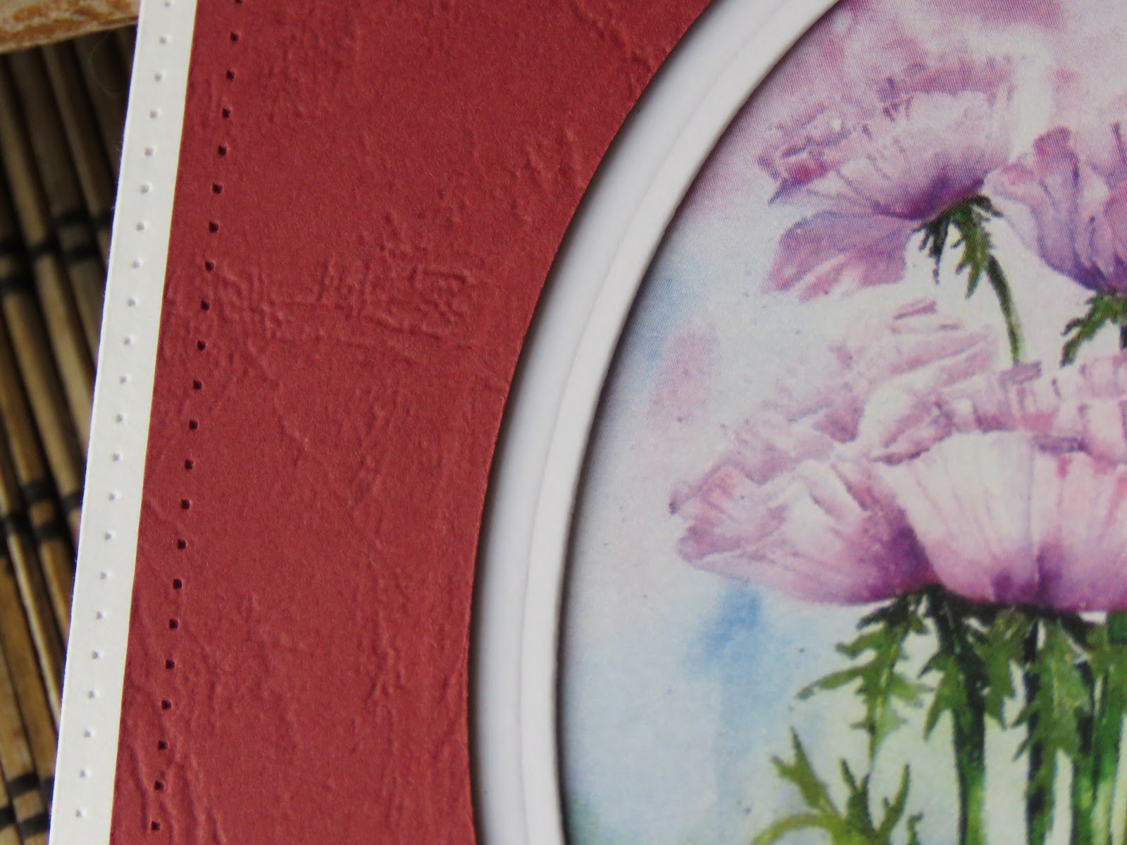 ��� ����� �������� ��������