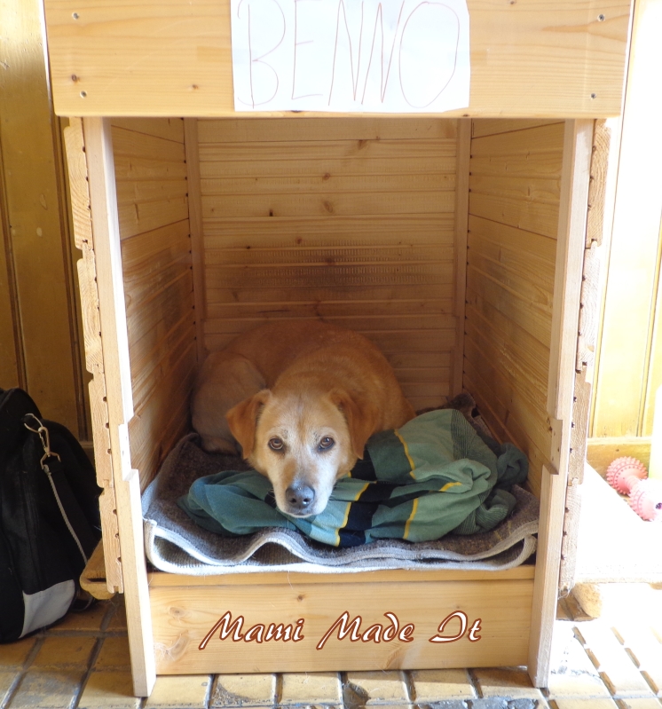 Mami Made It Recycling f??r Haustiere Recycling for Pets