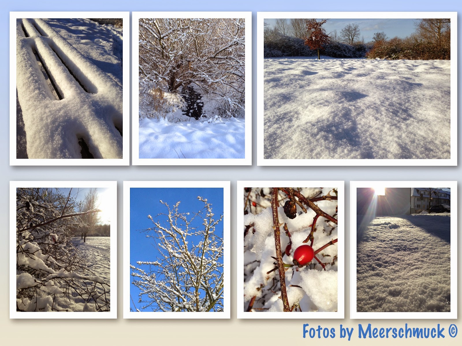 Rosenduft Und Maschenzauber Page 8 Chan 6084762 Rssing Com