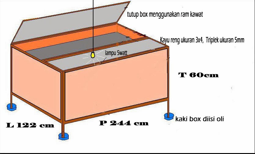 Memulai Budidaya Jangkrik : Persiapan Box