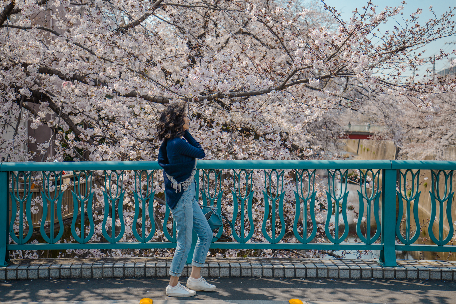 Cherry blossom viewing in local neighborhoods of Tokyo, Tokyo's Not So Secret Cherry Blossoms Spots That You Might Not Know Of - Style and Travel Blogger Van Le (FOREVERVANNY.com)