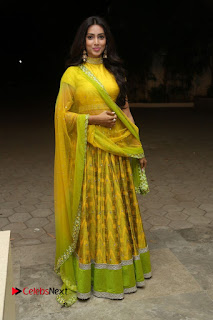 Actress Pallavi Subhash Stills in Yellow Dress at Naruda Donaruda Audio Launch  0104