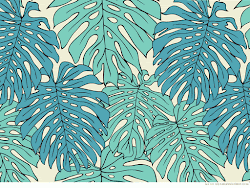 tropical wallpapers forest radar poppytalk leaf brown arte paradise wallpapersafari zealand